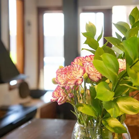 Luxury And Harmony House * プラヤ・ブランカ